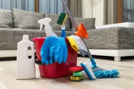 Professional fumigation service